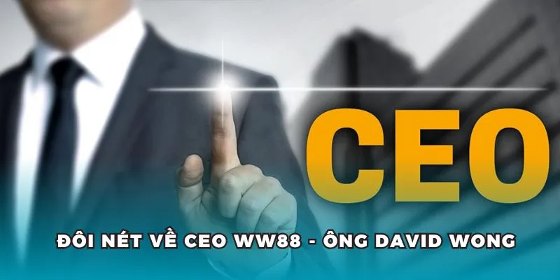 CEO WW88 David Wong đã đưa nhà cái trở thành nền tảng cá cược hàng đầu.