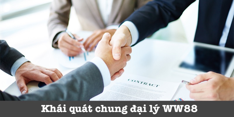 Thông tin của đại lý WW88